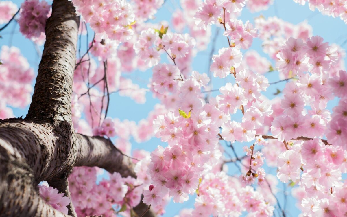 Mejores perfumes de primavera para hombre y mujer