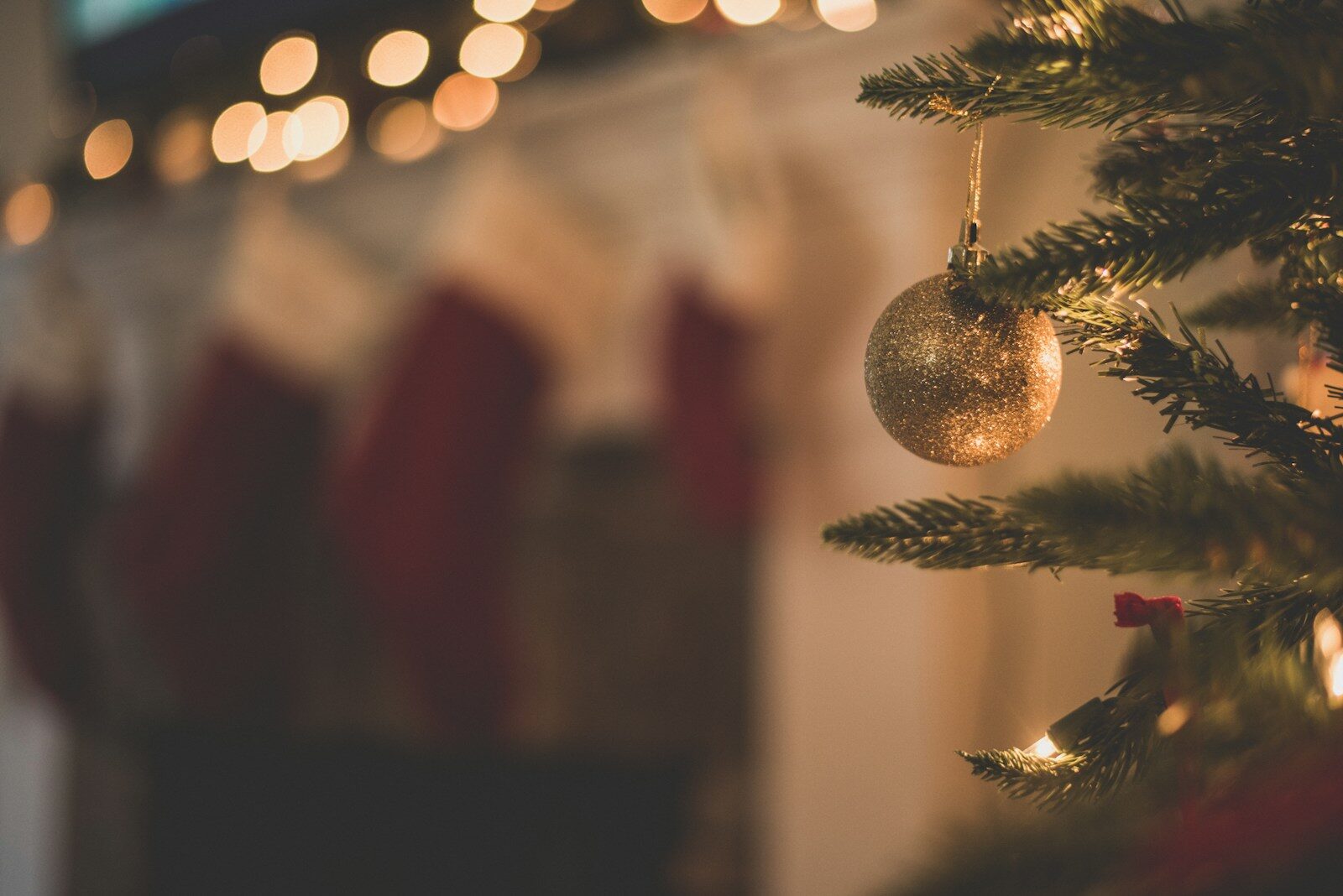 Mejores perfumes de invierno / navidad