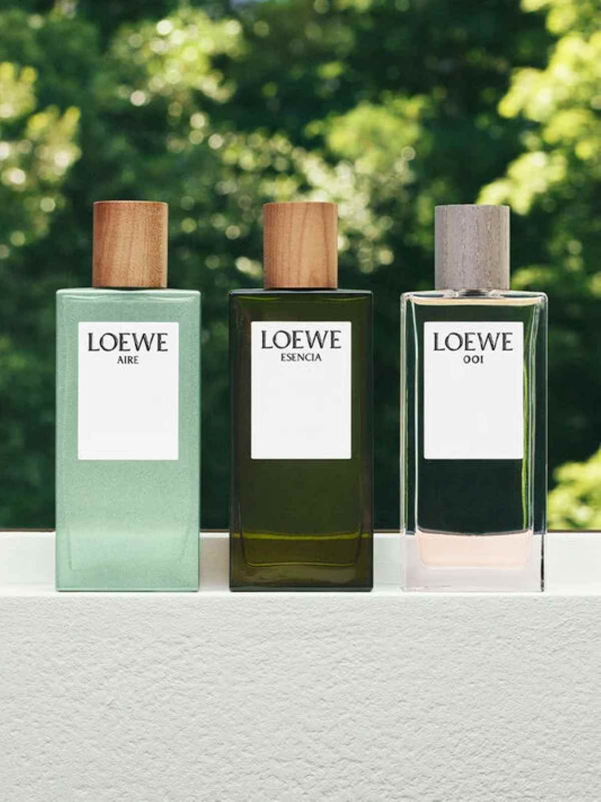 Mejores perfumes Loewe masculinos