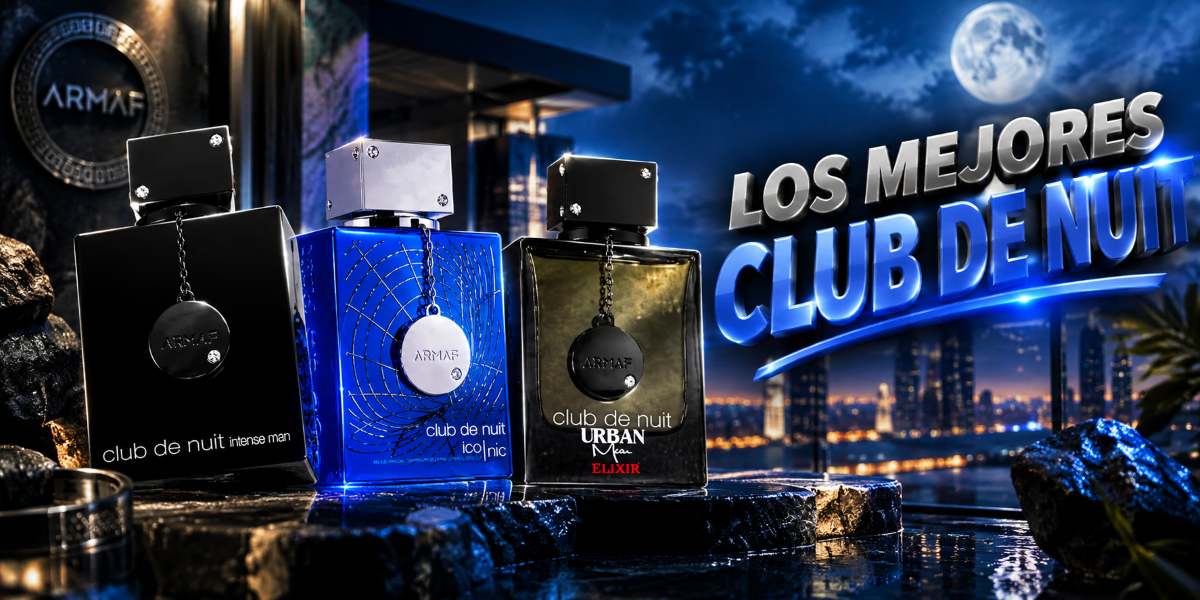 Los mejores Club de Nuit del mercado - Guía completa para elegir
